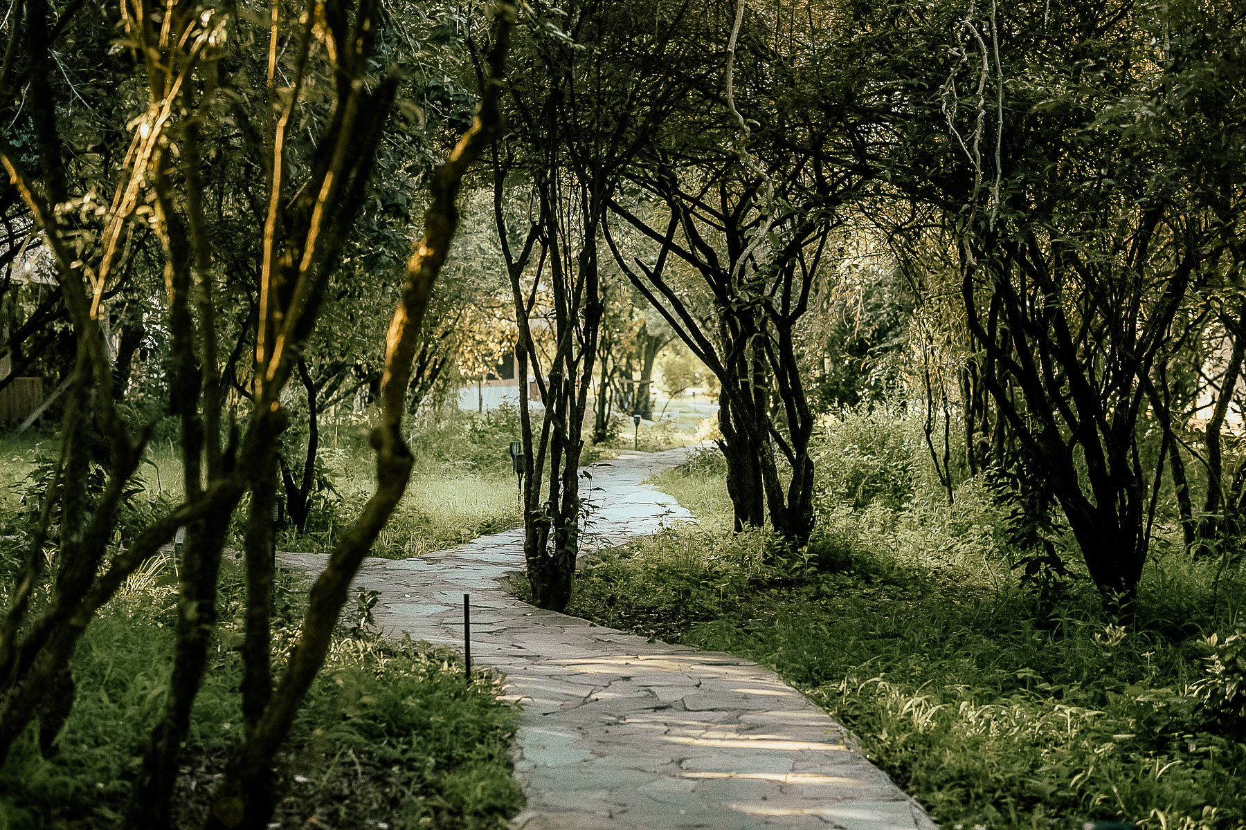 Footpath