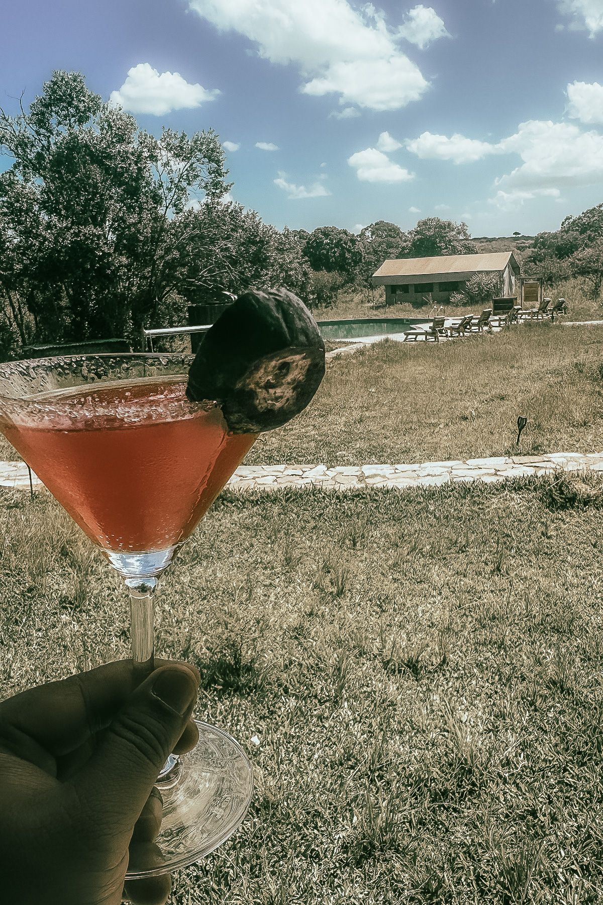 Bar Drinks