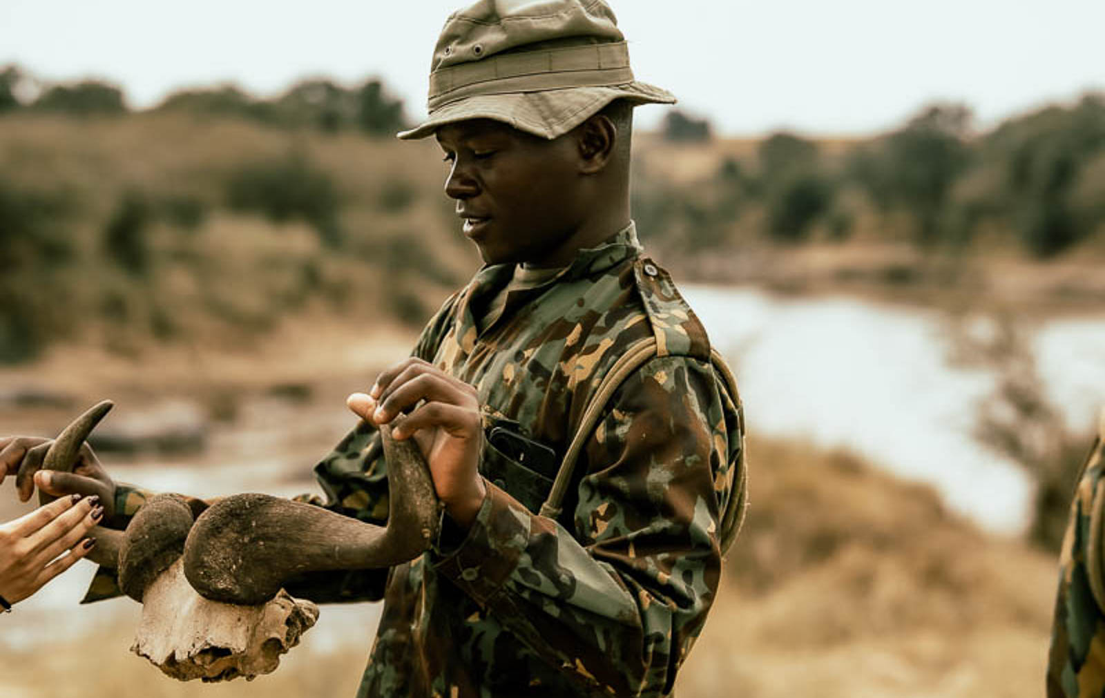 Wildlife in the Masai Mara