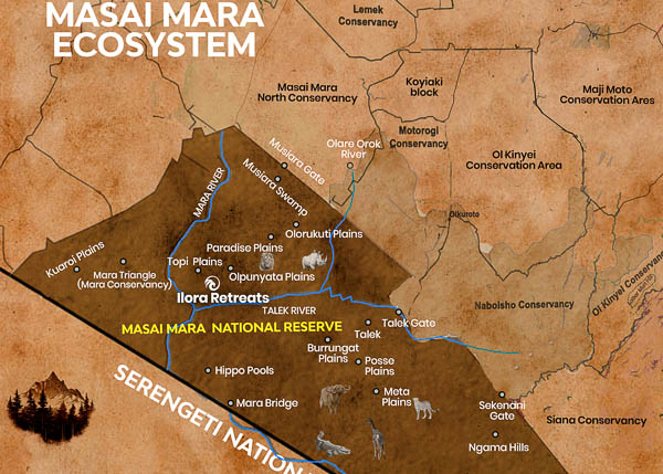 Masai Mara Ecosystem showing Ilora