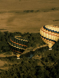 Balloon Safari