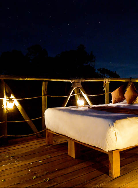 Star Beds